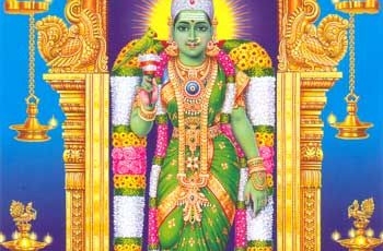 Pournami Abhishekam and Masi Maham Special Abhishekam